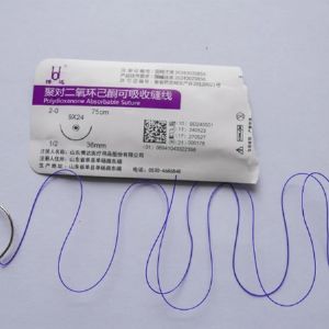 聚對二氧環已酮可(kě)吸收縫線